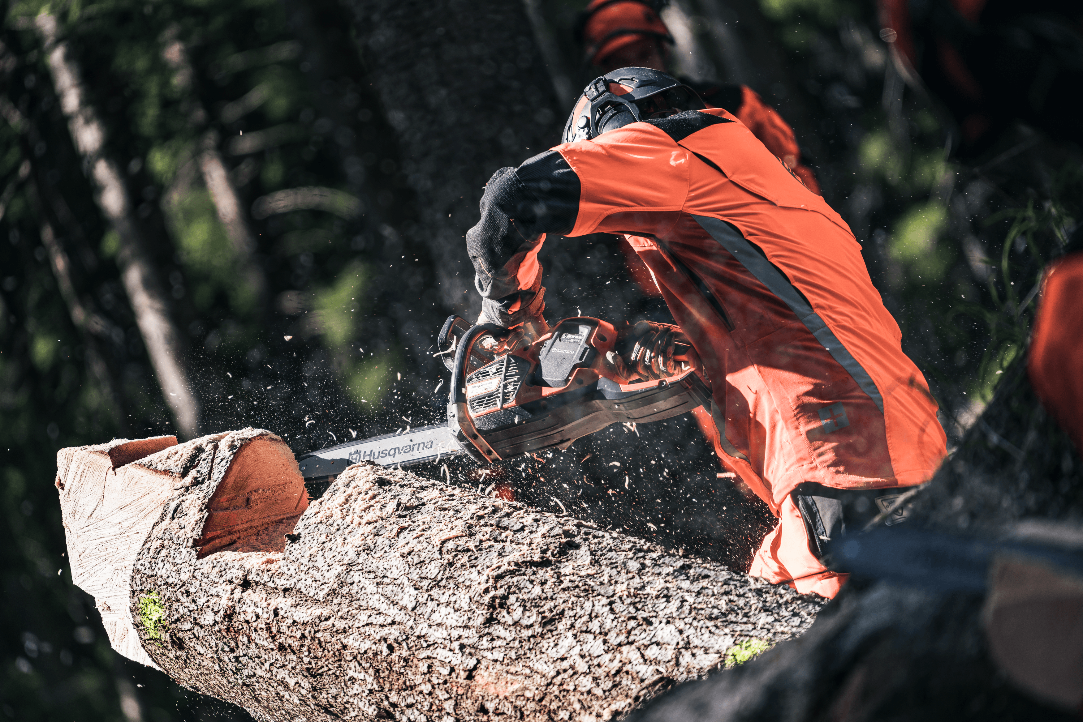 540i XP - Skin Only image 2